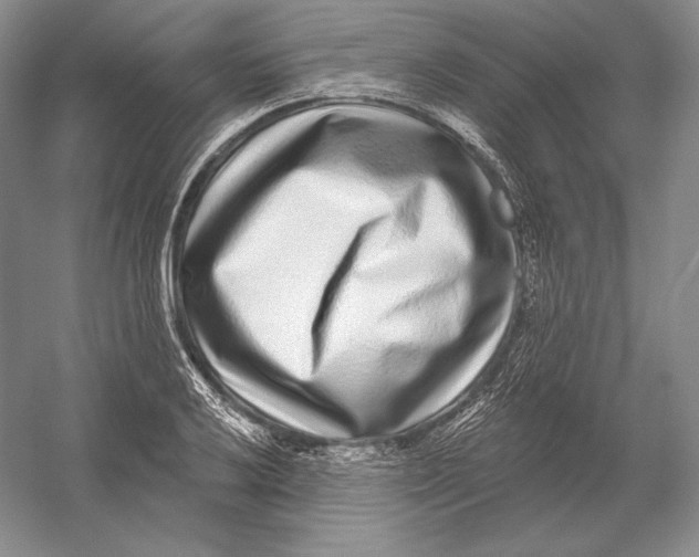 X0000052981032200508051035