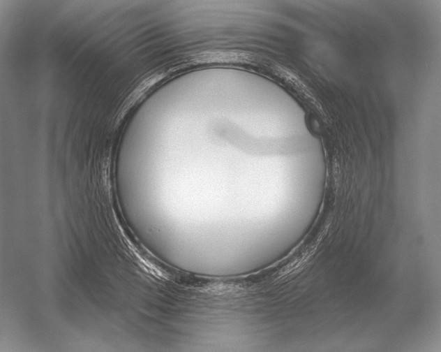 X0000052981033200508051035