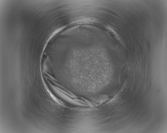 X0000052981034200508051035