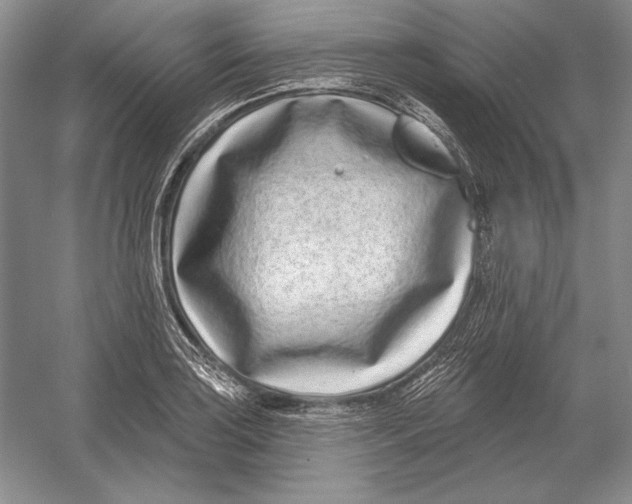 X0000052981035200508051035