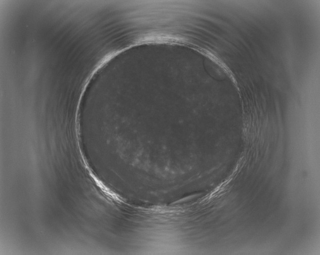 X0000052981037200508051035