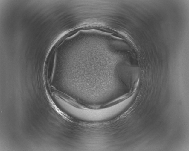 X0000052981038200508051035