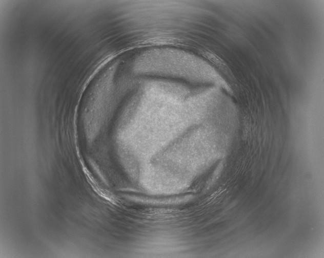 X0000052981039200508051035