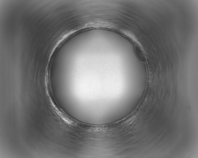 X0000052981040200508051036