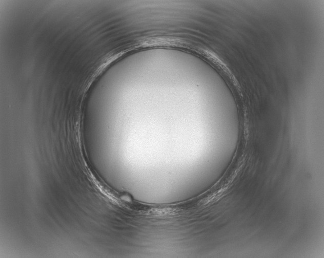 X0000052981041200508051036