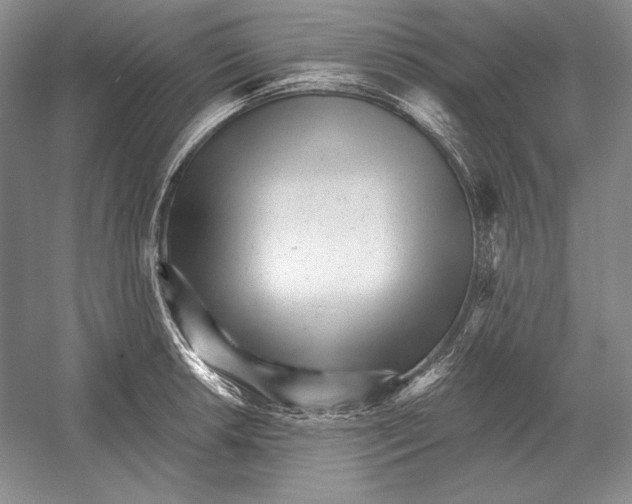 X0000052981042200508051036