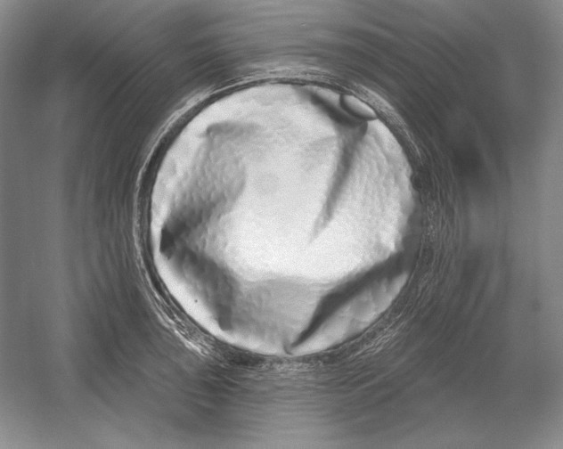 X0000052981043200508051036