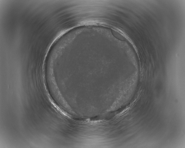 X0000052981045200508051036