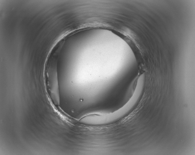 X0000052981046200508051036