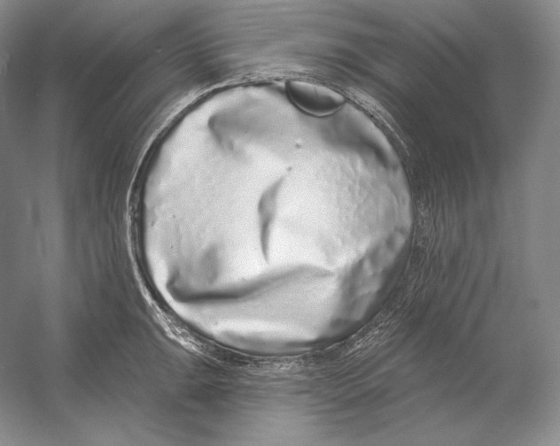 X0000052981047200508051036