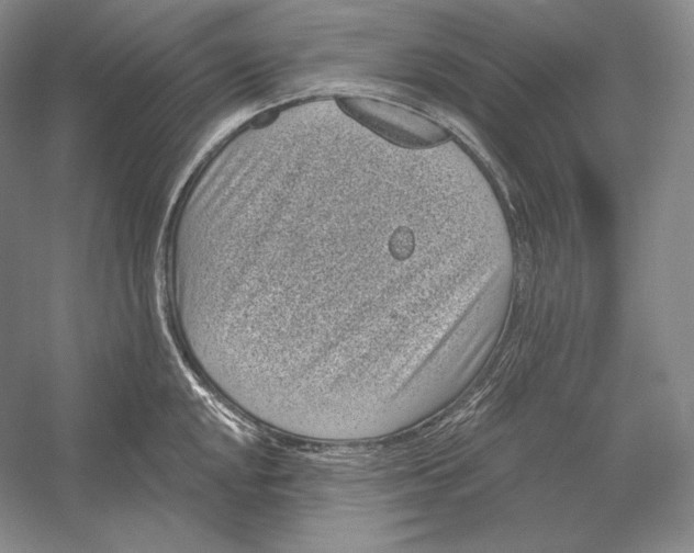 X0000052981048200508051036