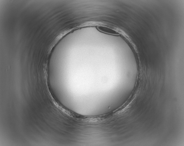 X0000052981049200508051036