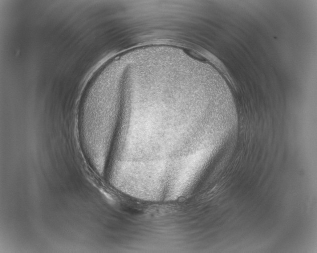 X0000052981051200508051036