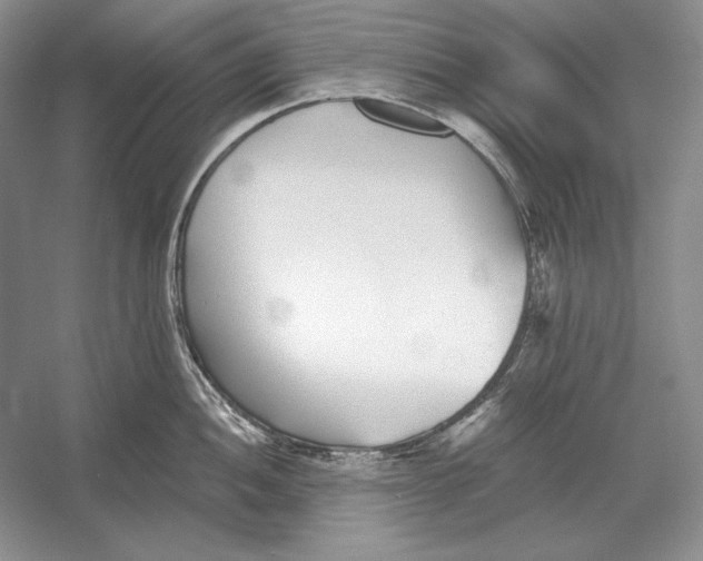 X0000052981052200508051036