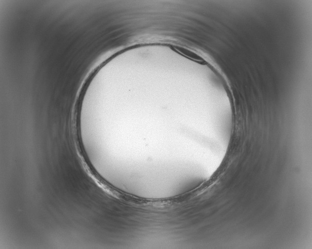 X0000052981053200508051036