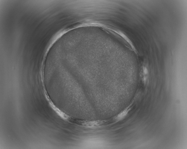 X0000052981054200508051036