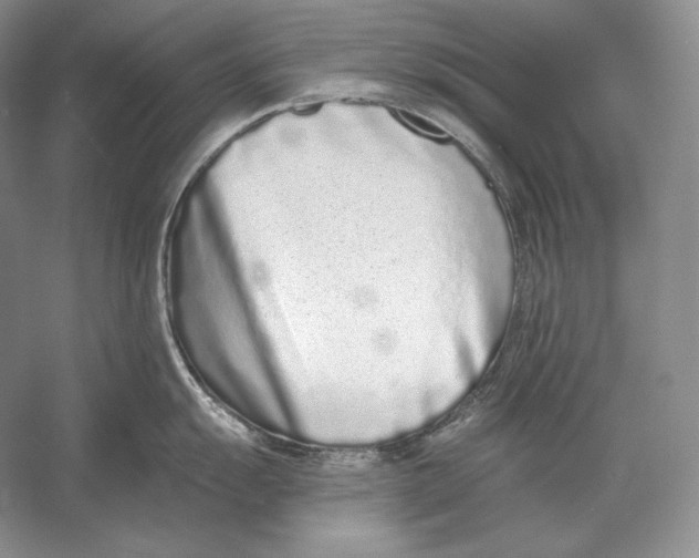 X0000052981055200508051036