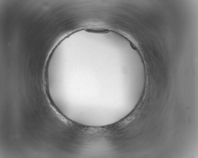 X0000052981056200508051036