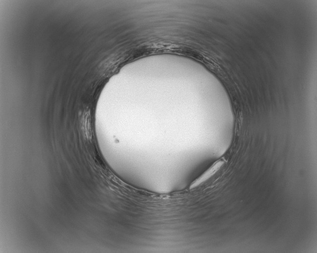 X0000052981059200508051035