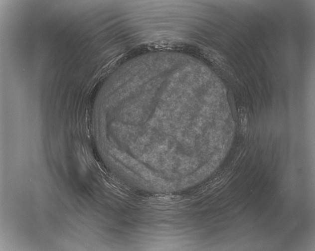 X0000052981060200508051035