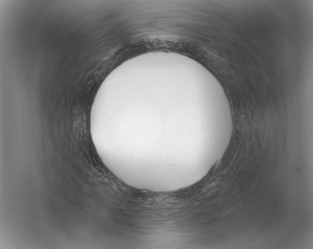 X0000052981061200508051035