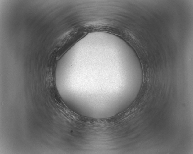 X0000052981062200508051035