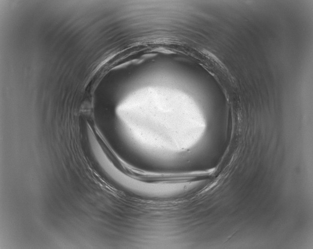 X0000052981065200508051035