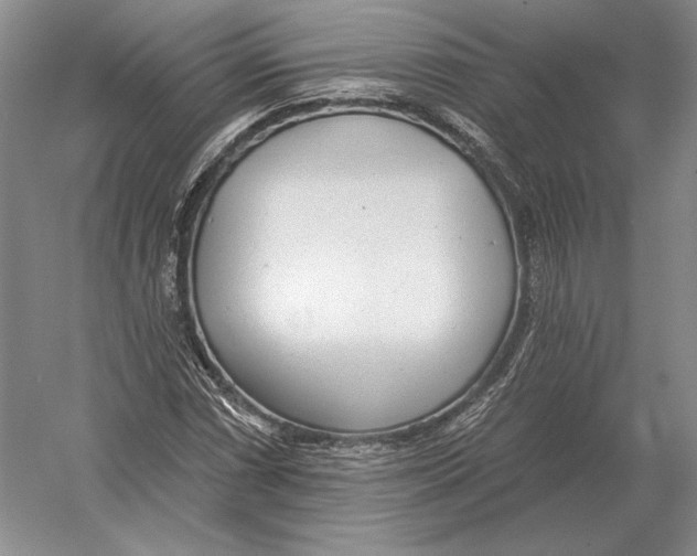 X0000052981066200508051035