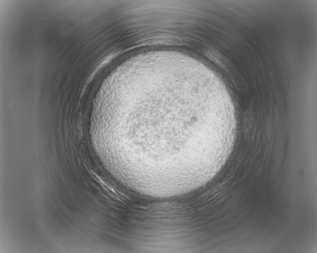 X0000052981067200508051035