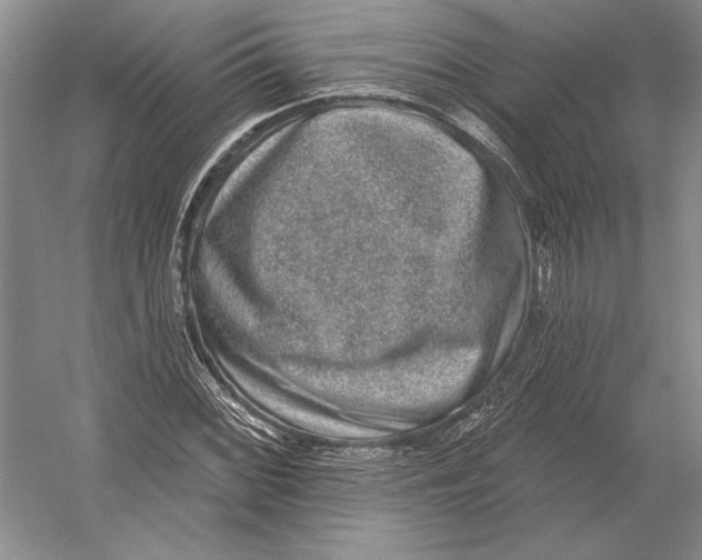 X0000052981068200508051035