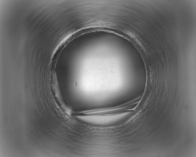 X0000052981069200508051035