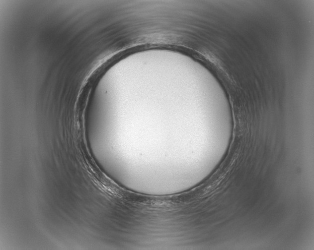 X0000052981070200508051035