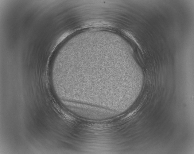 X0000052981071200508051035