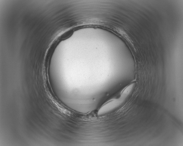 X0000052981072200508051035