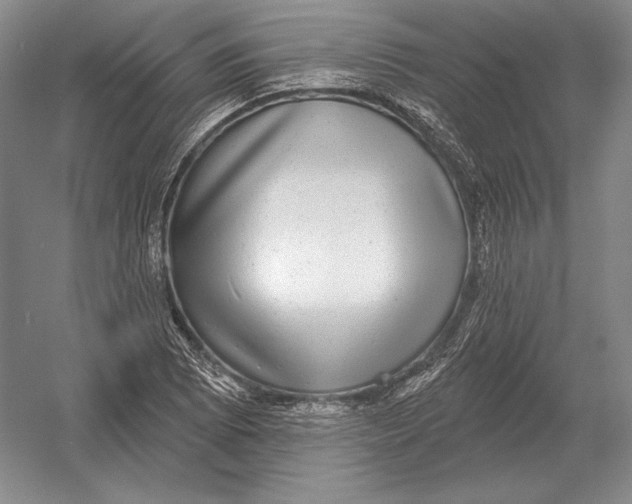 X0000052981073200508051035