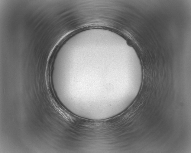 X0000052981076200508051035