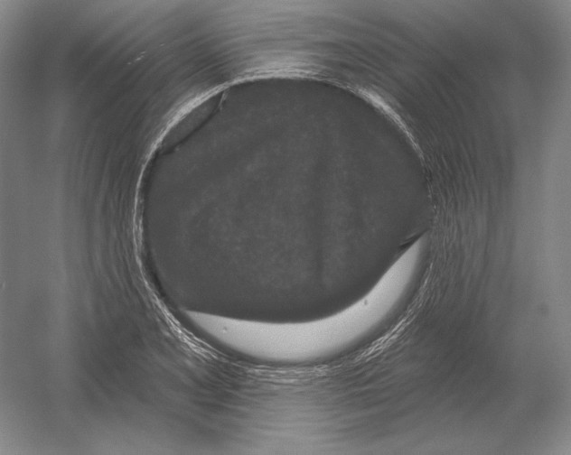 X0000052981077200508051035