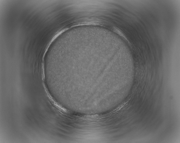 X0000052981079200508051035