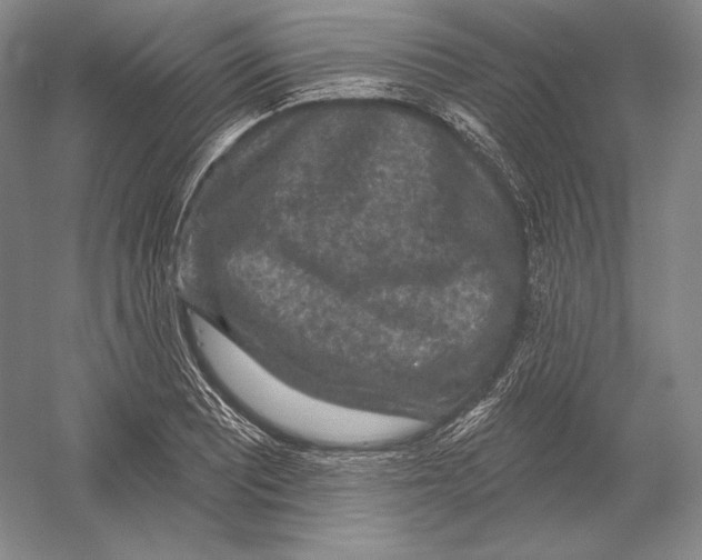 X0000052981081200508051035