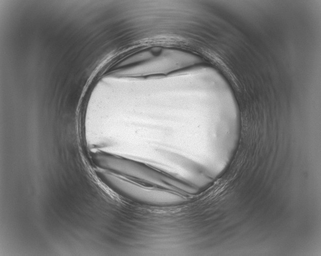 X0000052981083200508051035