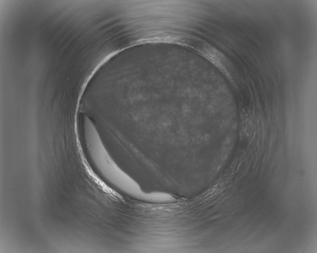 X0000052981084200508051034