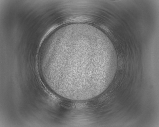 X0000052981086200508051034