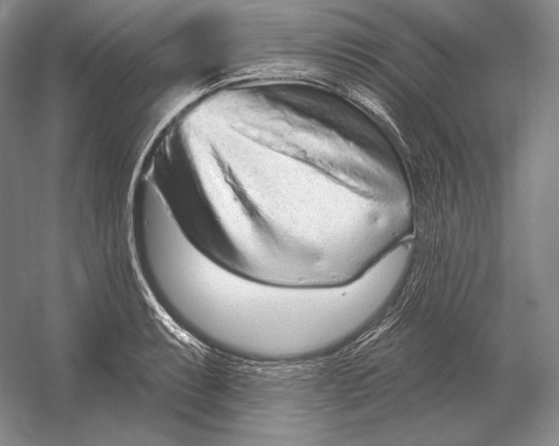 X0000052981087200508051034