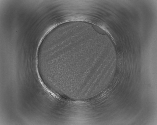 X0000052981088200508051034