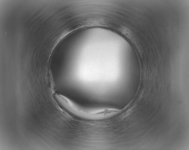 X0000052981089200508051034