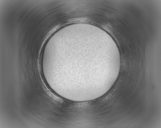 X0000052981090200508051034