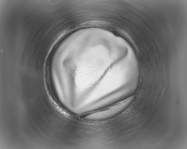 X0000052981091200508051034