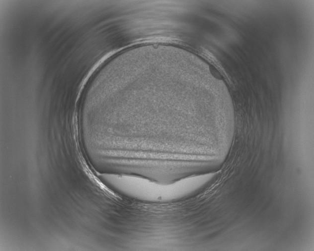 X0000052981092200508051034