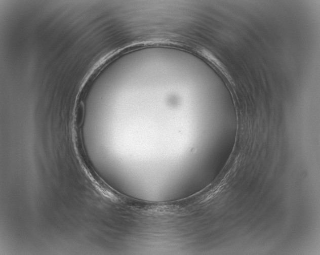 X0000052981093200508051034