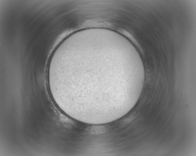 X0000052981094200508051034